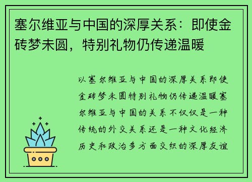 塞尔维亚与中国的深厚关系：即使金砖梦未圆，特别礼物仍传递温暖